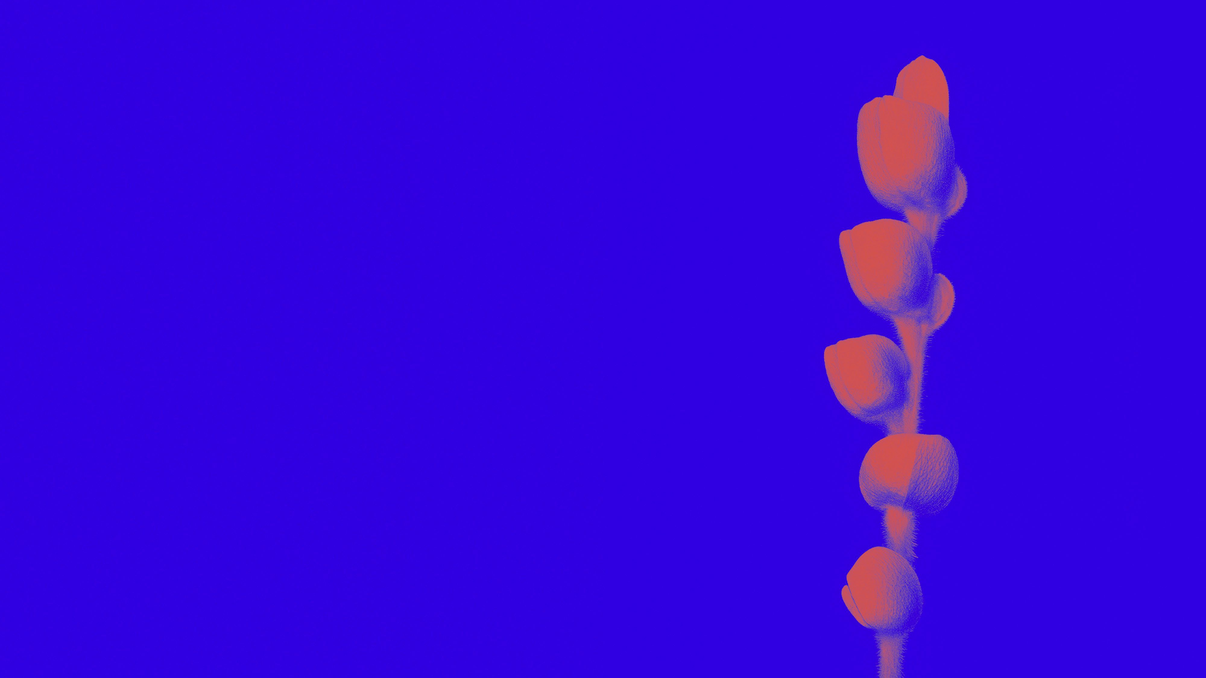 Facciamo crescere la città di domani - Scopri gli enti di formazione del Gruppo Foppa - 2