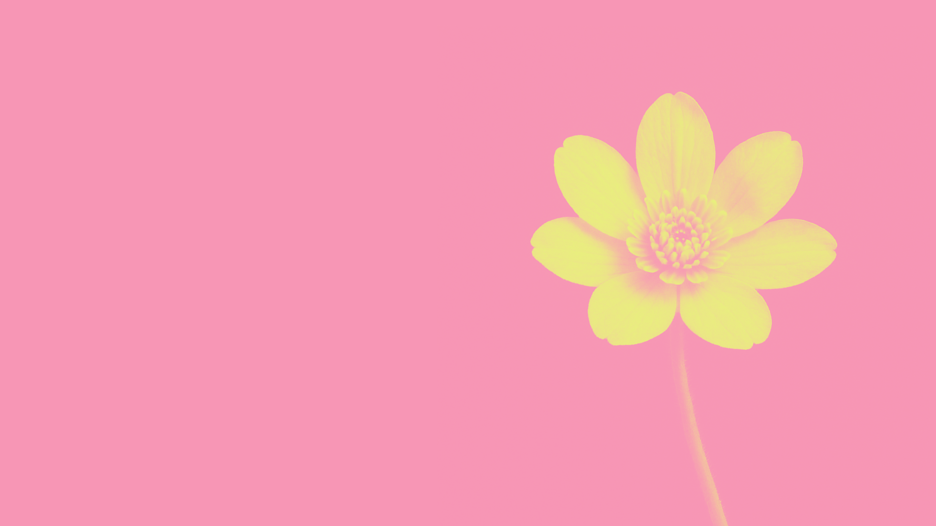 sfondo-manifesto-foppa